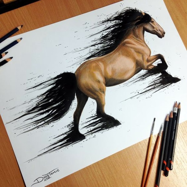 color pencil drawing Examples (15)
