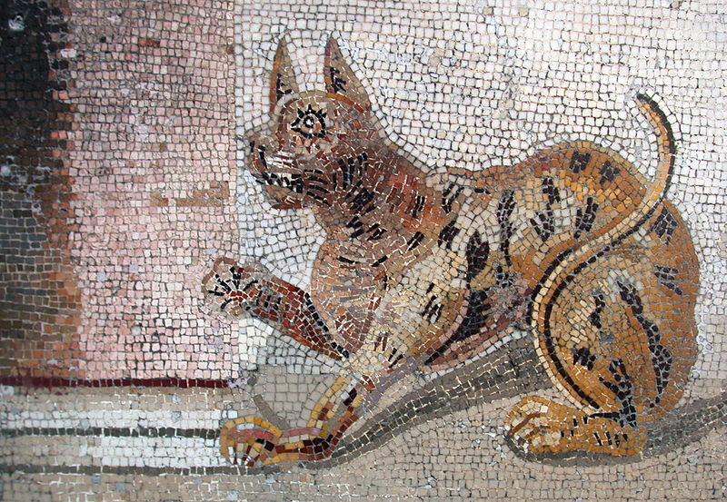 Ancient Rome: ~1000 B.C.
Carried to Rome from Phoenicia, cats were introduced as mousers, and were valued for their hunting prowess, often tolerated for keeping rodent population at bay. Roman soldiers transported cats on conquests to keep grain...