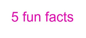 Wildride fun facts