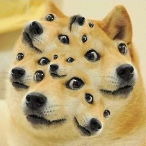 Doge 1080X1080 : Doge wallpaper ·① Download free beautiful High