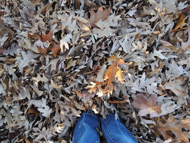 20141118_006