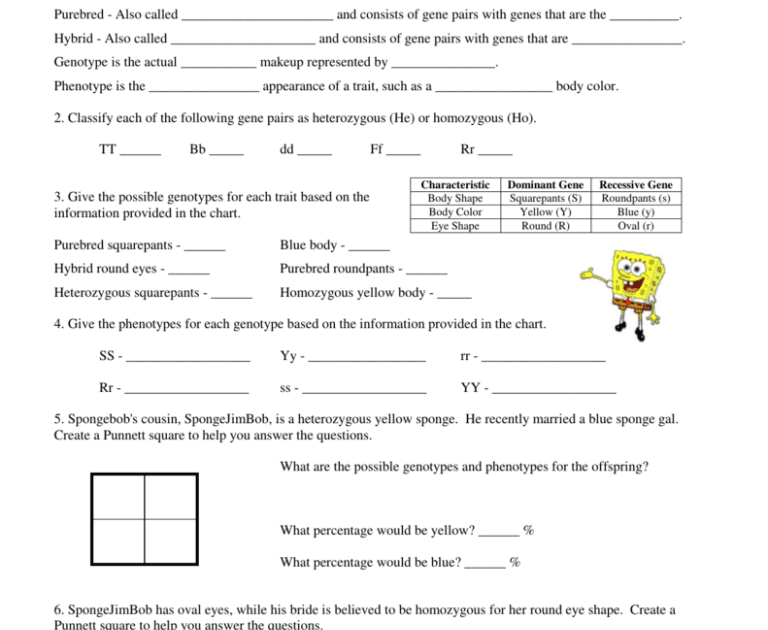 Spongebob Genetics Answer Key : Spongebob Genetics Answer Key Page 3