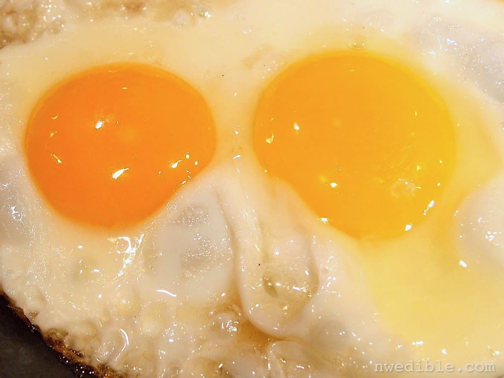 Backyard Eggs Vs Store Bought - Backyard Ideas