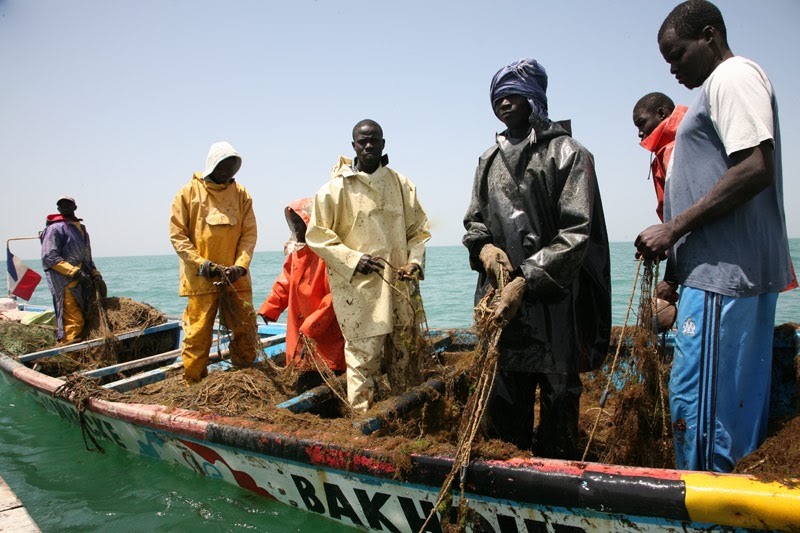 reunirse africano grande en Tarrasa reunirse africano grande en Tarrasa