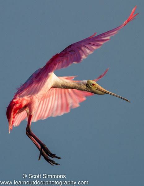 Photo & Video Sharing by SmugMug Photo & Video Sharing by SmugMug