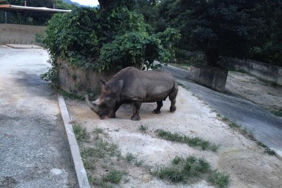 Photos of Fukuoka City Zoological GArden, Fukuoka