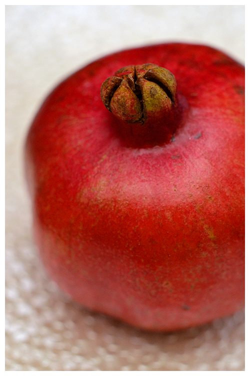 pomegranate© by Haalo