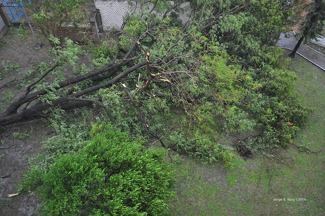 Tormenta del 3 de enero