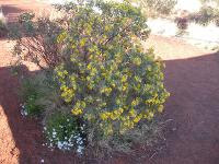 Free Image Hosting at www.ImageShack.us