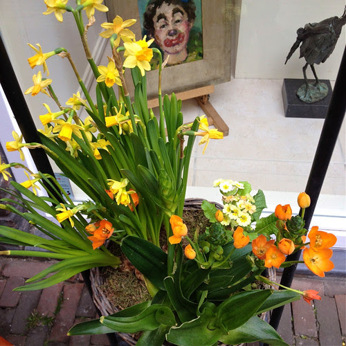 Haarlem - flower pot