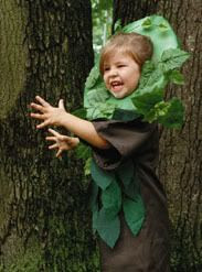 Tree of life? I thought you meant the life of a tree!