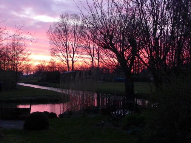Avonrood in maart