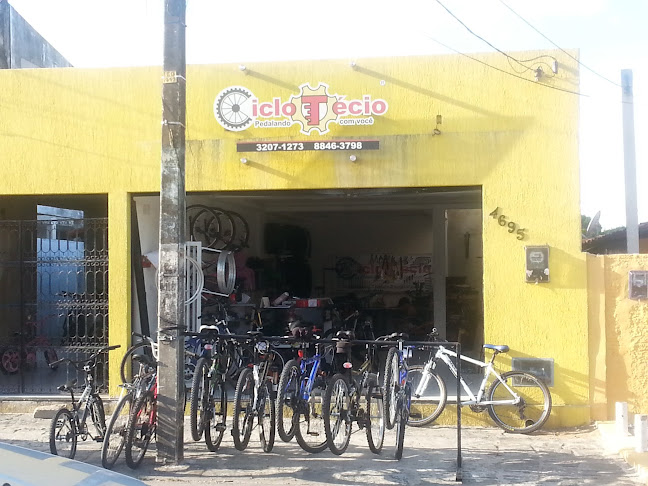 Ciclo Técio - Natal