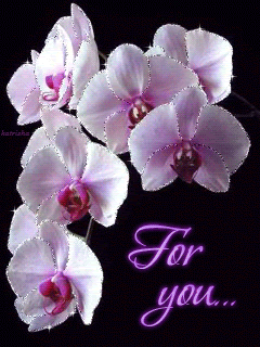 Нежная орхидея (for you)
