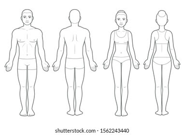 sketch of human body front and back