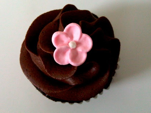cupcakechocolatejamie