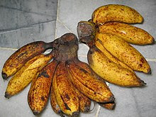 raingers: jenis2 pisang