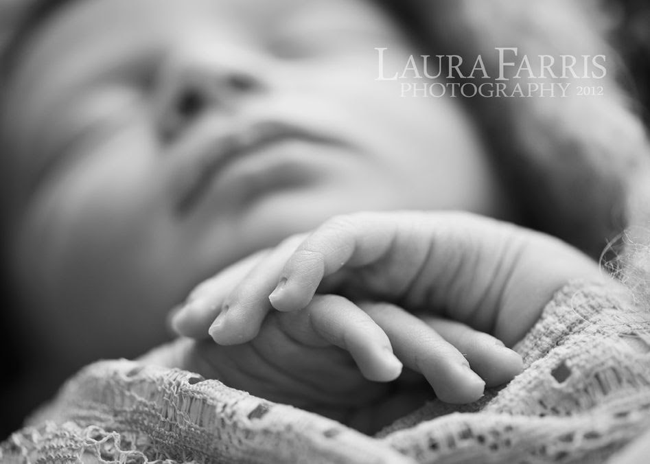 boise newborn baby photographer
