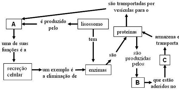 Simulados De Biologia: Prova UFRGS/2010