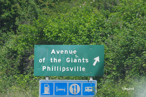 IMGP3193