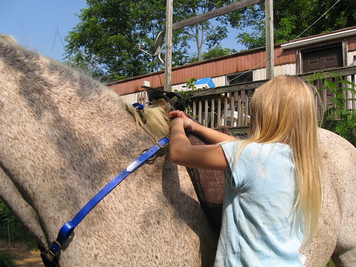 Rinnah putting on the breast collar.