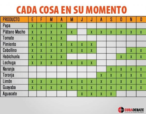 Infografía: Luis Amigo Vázquez.