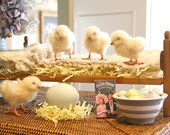 Needle Felt Easter Chick - BlueHeavenStudio Needle Felt Easter Chick - BlueHeavenStudio