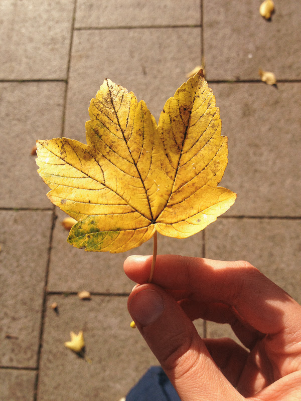 2013-09-11 17.08.35