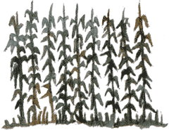 32_2.gif (7921 bytes)
