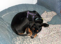 Jack_102410c