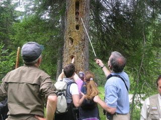 Mike feeling the tree with holes from the Woodpecker