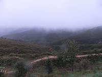 Free Image Hosting at www.ImageShack.us