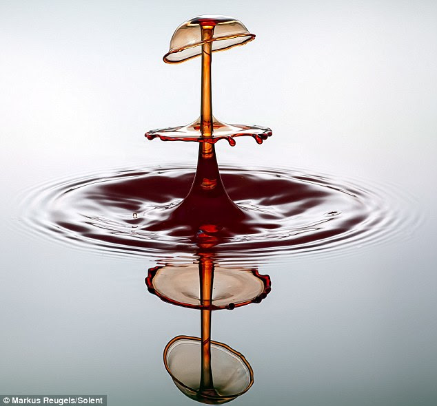Ripple effect: Water was dropped on to trays, egg cups or tea spoons to get effects like these
