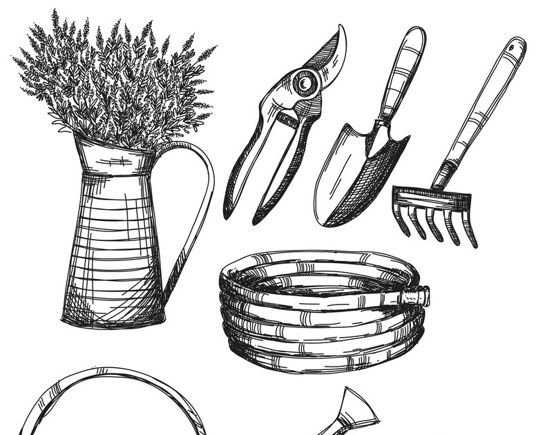 Sketch Gardening Tools Drawing / Drawings Of Several Garden Tools High