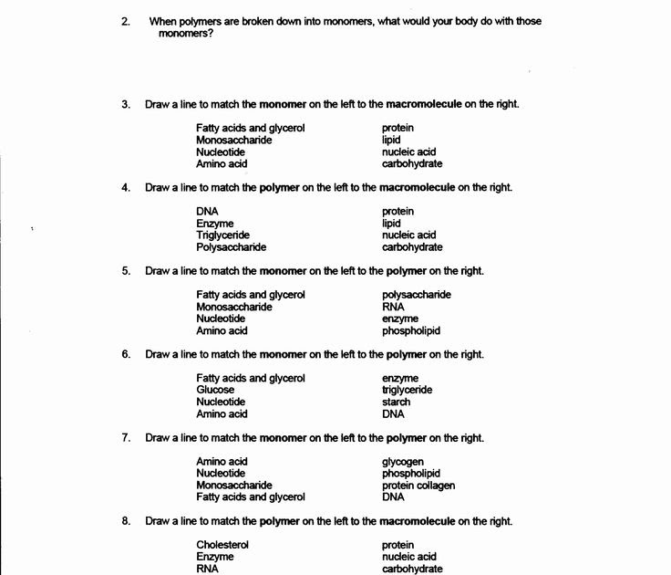 Organic Molecules Worksheet Answers - Ahsley News