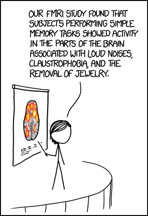 Our fMRI study found that subjects performing simple memory tasks showed activity in the parts of the brain associated with loud noises, claustrophobia, and the removal of jewellery. Our fMRI study found that subjects performing simple memory tasks showed activity in the parts of the brain associated with loud noises, claustrophobia, and the removal of jewellery.