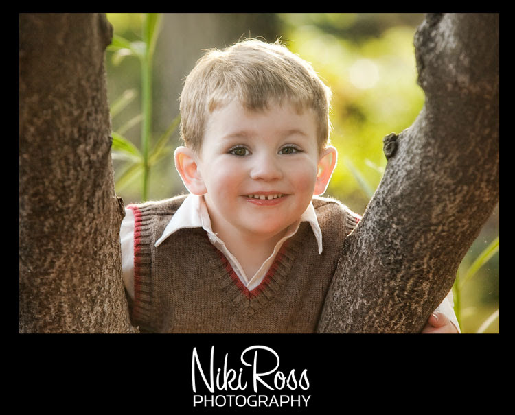 boy-tree