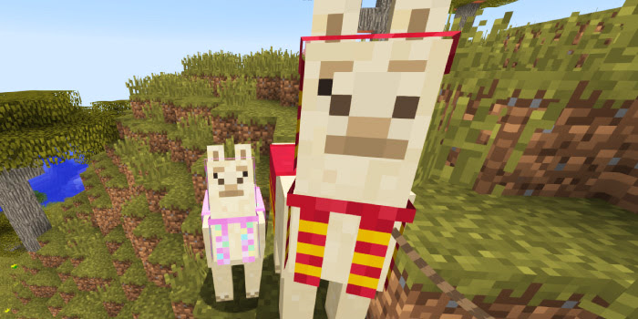 最高のマインクラフト 75 マイクラ アルパカ 商人
