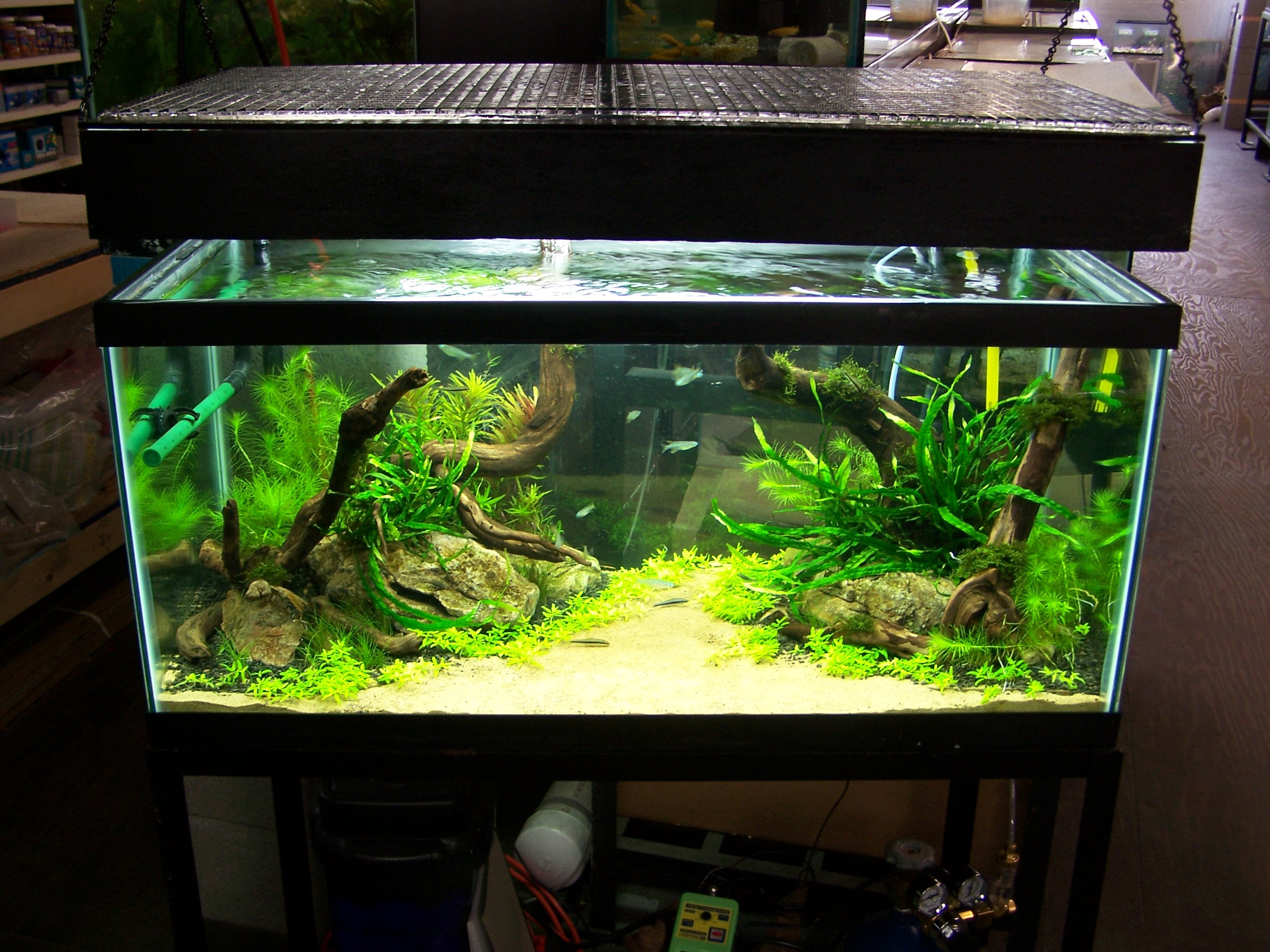 How To Aquascape A Freshwater Aquarium Aquascaping For Beginners 10