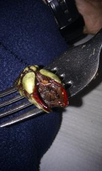 Free Image Hosting at www.ImageShack.us