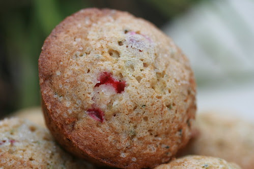 Martha Stewart's Cranberry-Zucchini Muffins