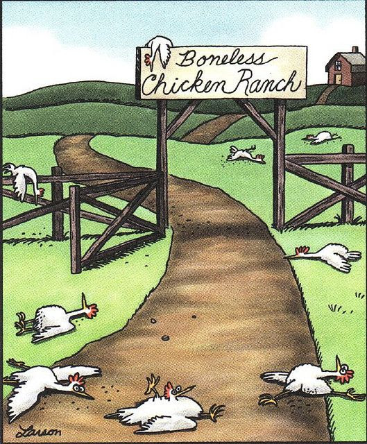Far Side by Gary Larson. The Boneless Chicken Ranch has always been my favorite!