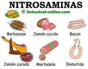 Nitrosaminas carne cáncer