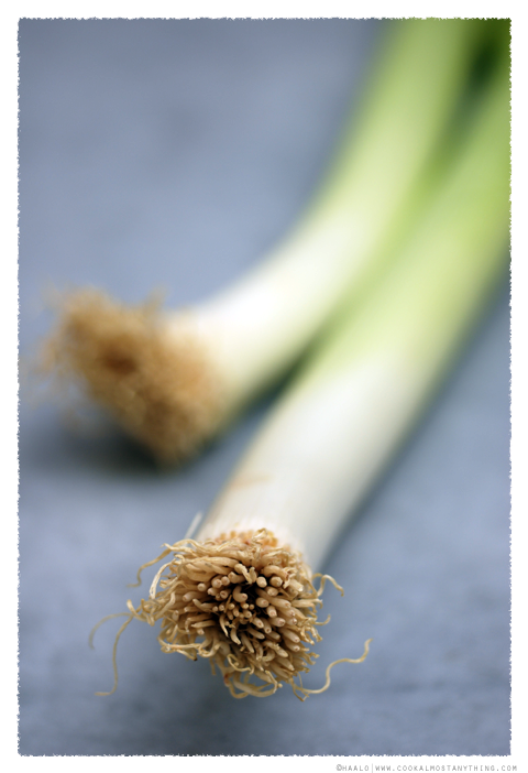 leeks© by Haalo