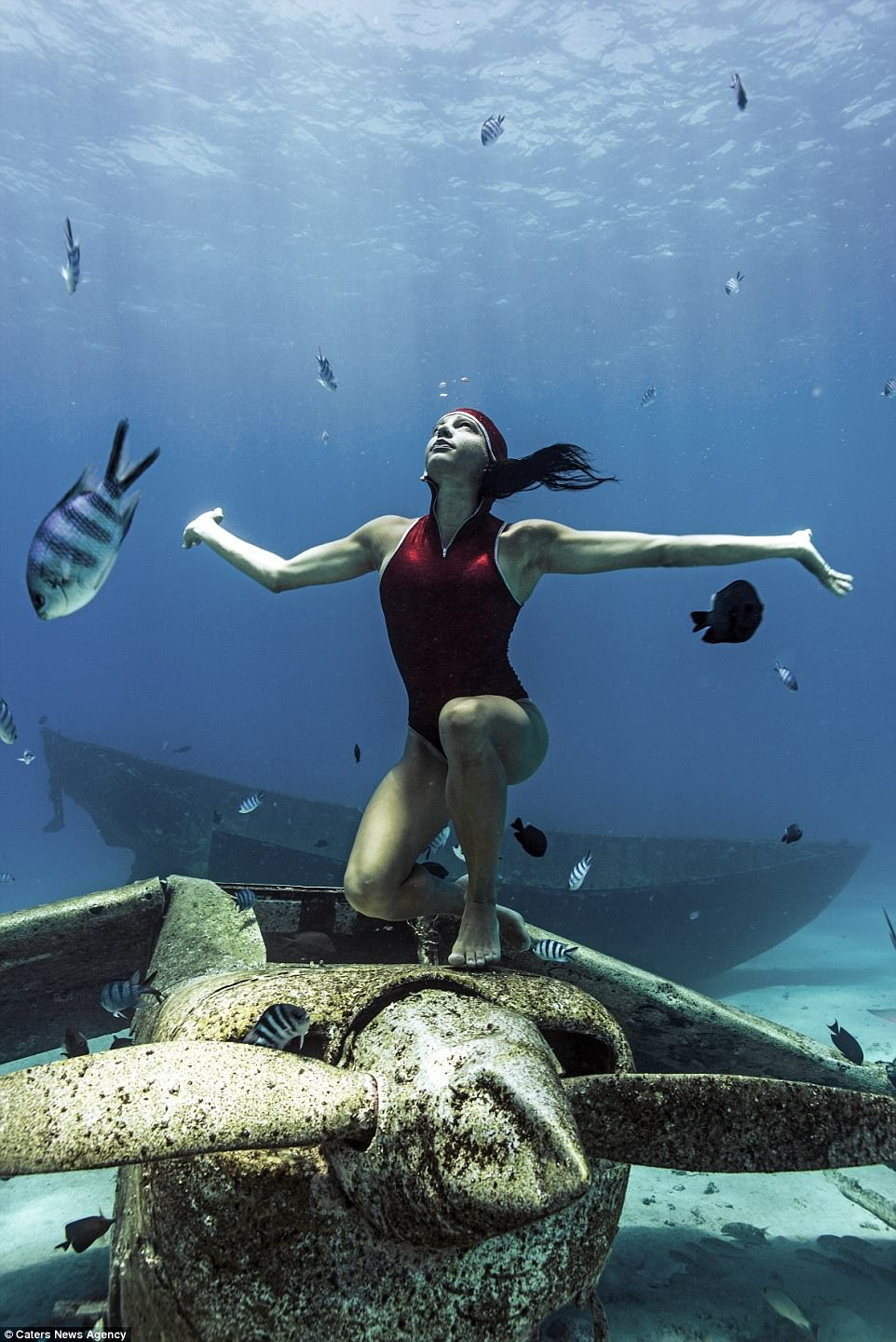 Surrounded by sea creatures, the environmental activist posing on top of a WWII bomber plane and ship wreckage 