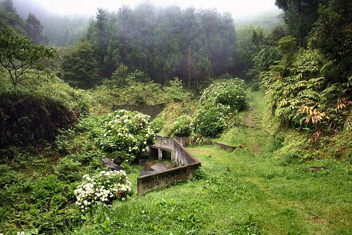 20090617-vs-2731