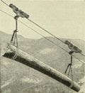 Tree trunk ropeway Tree trunk ropeway