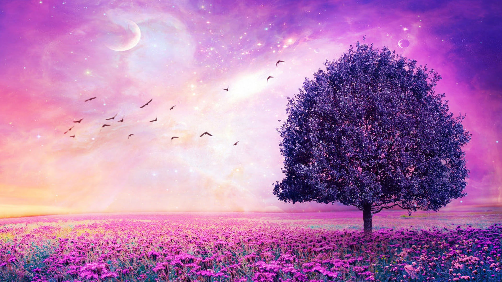 Purple Flower Wallpaper HD | PixelsTalk.Net