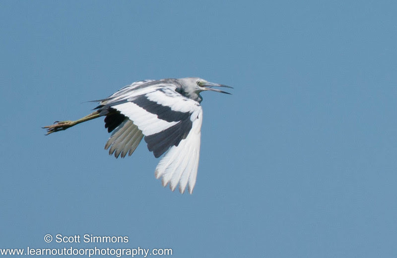 Photo & Video Sharing by SmugMug Photo & Video Sharing by SmugMug