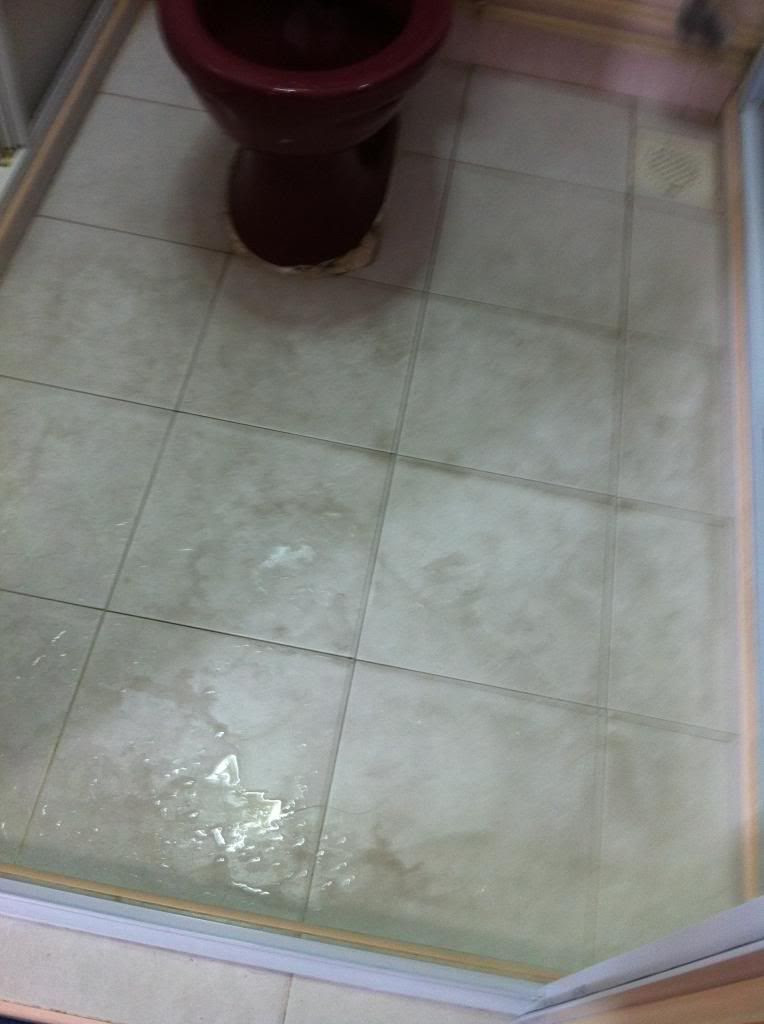 photo IMG_1434_zps2d65a843.jpg